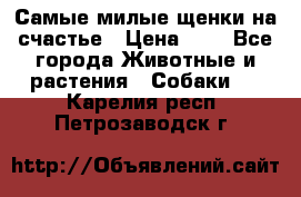 Самые милые щенки на счастье › Цена ­ 1 - Все города Животные и растения » Собаки   . Карелия респ.,Петрозаводск г.